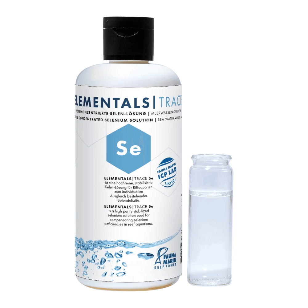 Fauna Marin Elementals Se