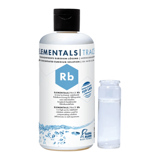 Fauna Marin Elementals Rb